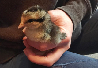 Squeeeee! (Photo: Kate Bernot)